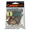CARLIGE SASAME MASTERY F - 504 CARLIGE SASAME MASTERY F - 504