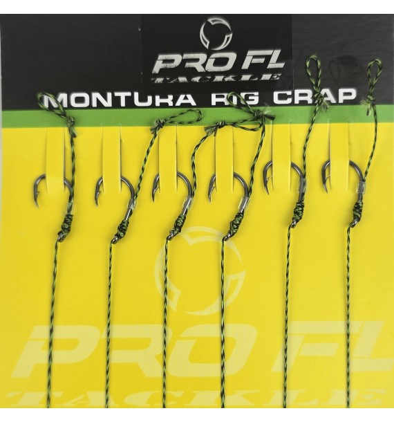 SET 6 CARLIGE LEGATE -RIG CARP PROFL