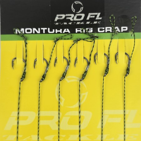SET 6 CARLIGE LEGATE -RIG CARP PROFL