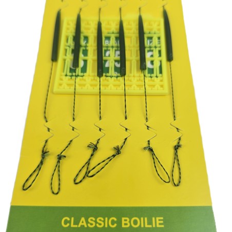 SET 6 CARLIGE LEGATE -RIG CARP PROFL