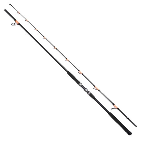 LANSETA PROFL CAT FISH PASSION PRO 300-600g