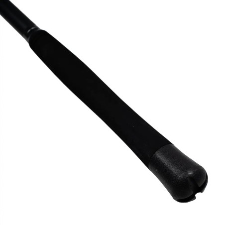 LANSETA PROFL CAT FISH PASSION PRO 300-600g