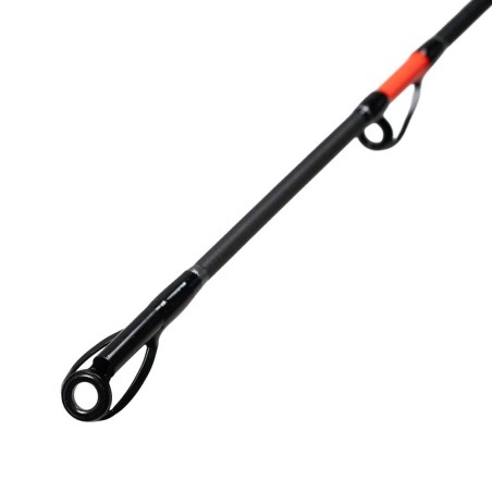 LANSETA PROFL CAT FISH PASSION PRO 300-600g