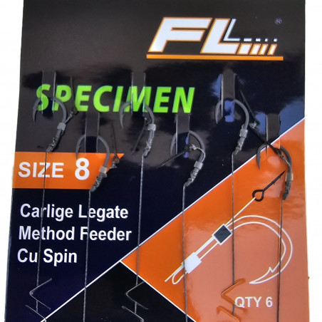 SET 6 CARLIGE LEGATE SPECIMEN - AC MOMEALA